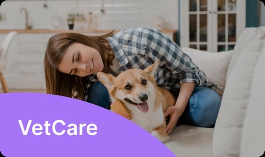 Veterinario a domicilio